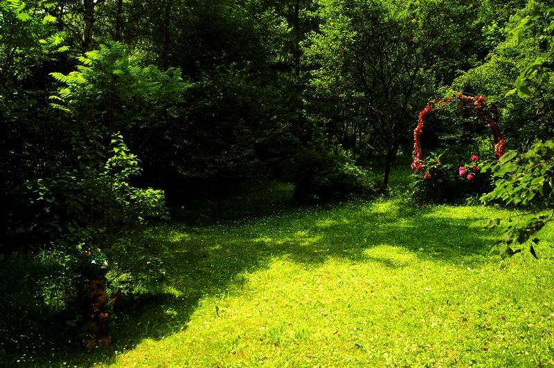 Raj Muszyna Apartamenty Z Widokiem Na Panorame Gorska Kültér fotó