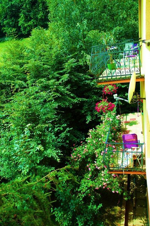Raj Muszyna Apartamenty Z Widokiem Na Panorame Gorska Kültér fotó